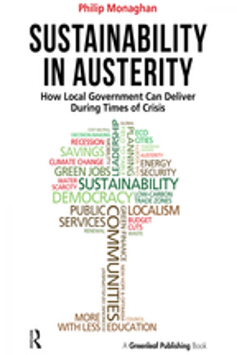 Big bigCover of Sustainability in Austerity