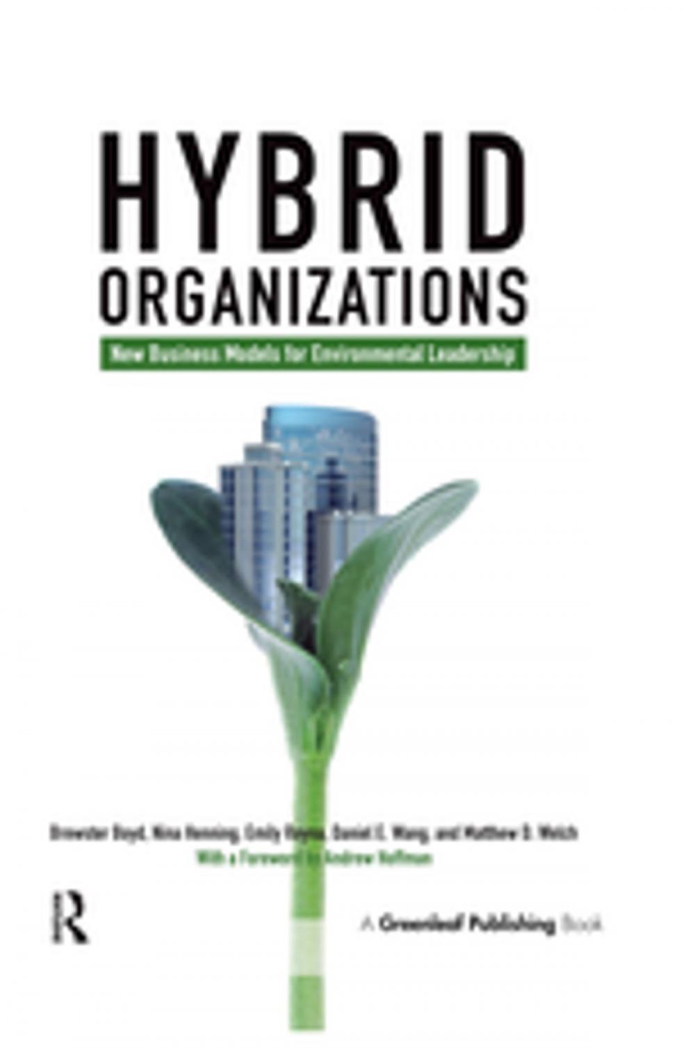 Big bigCover of Hybrid Organizations