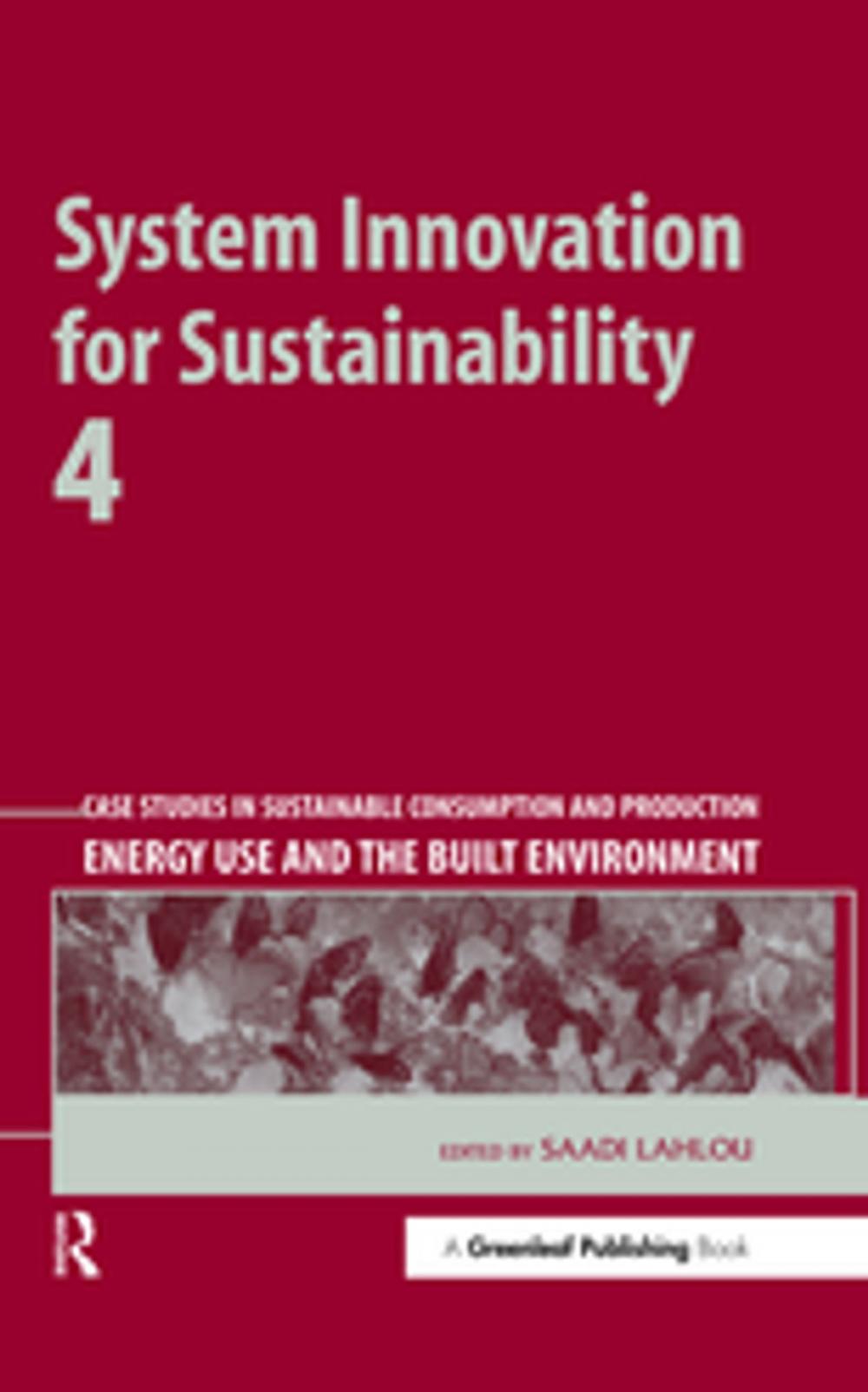 Big bigCover of System Innovation for Sustainability 4