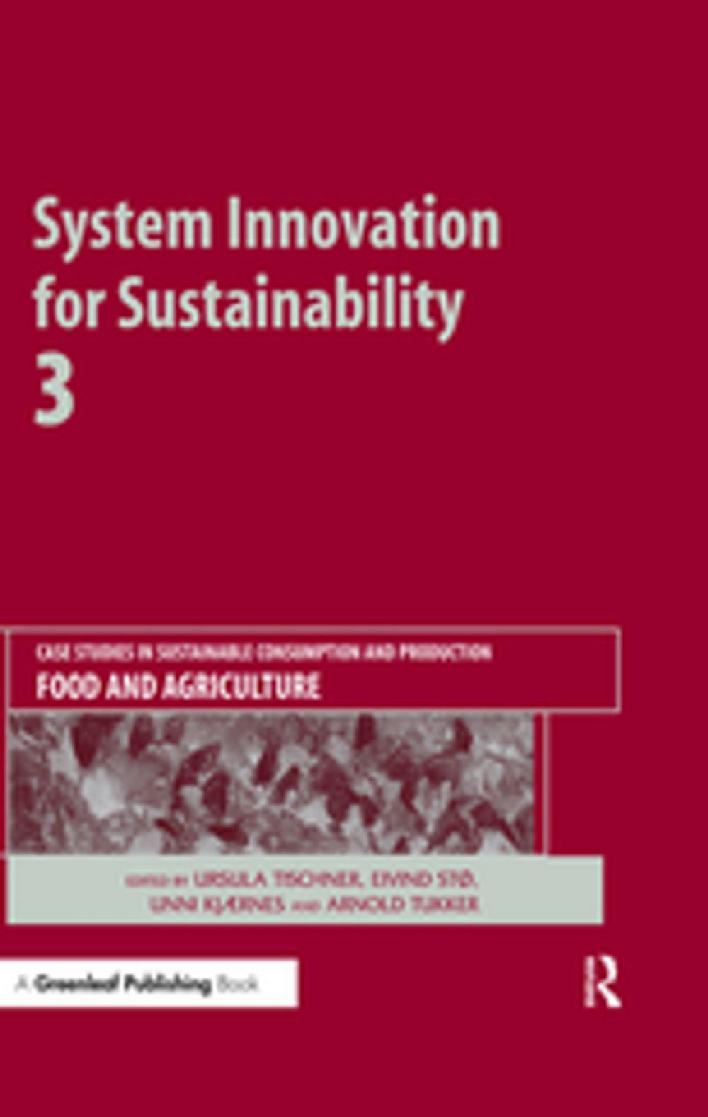 Big bigCover of System Innovation for Sustainability 3