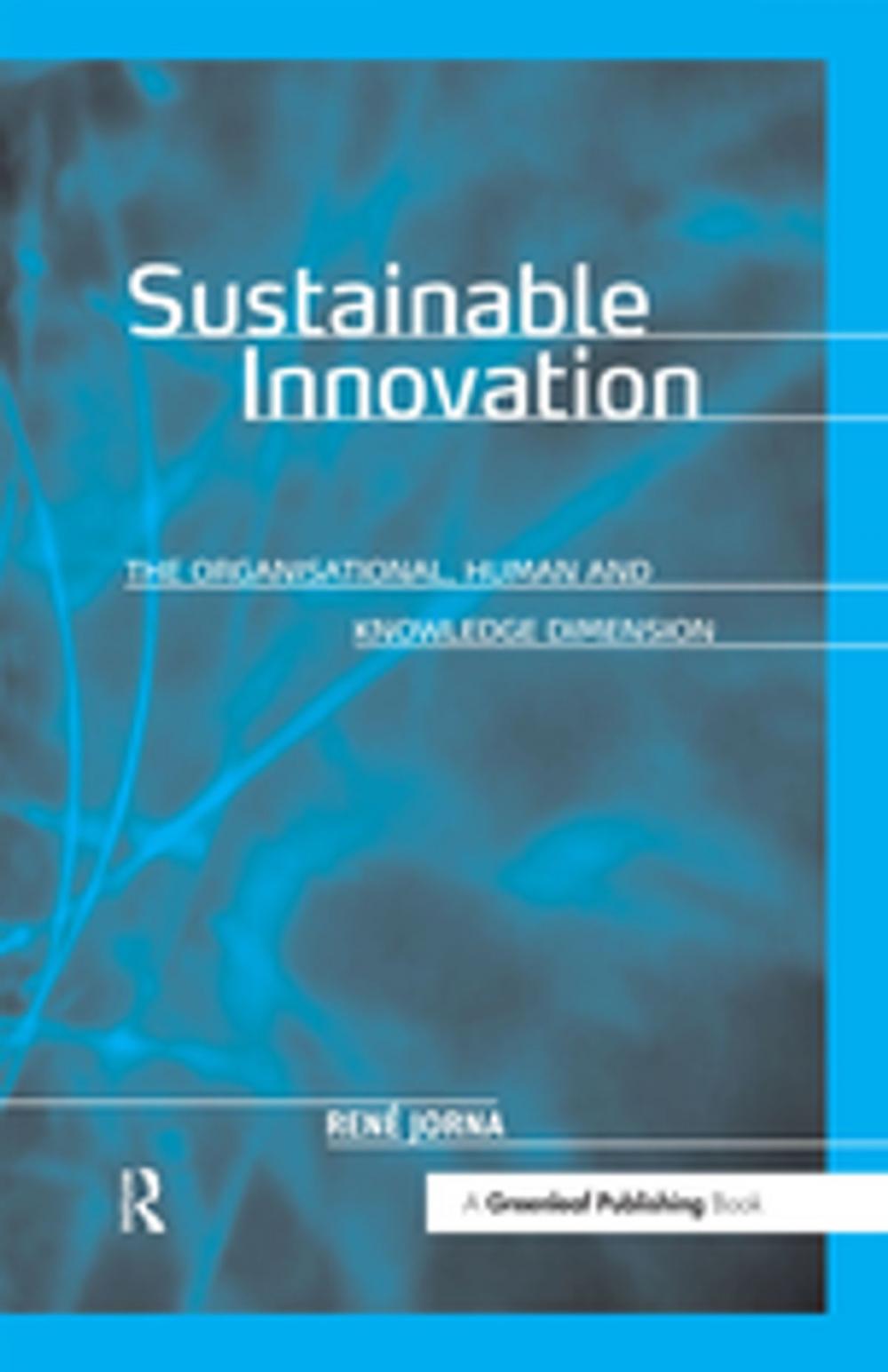 Big bigCover of Sustainable Innovation