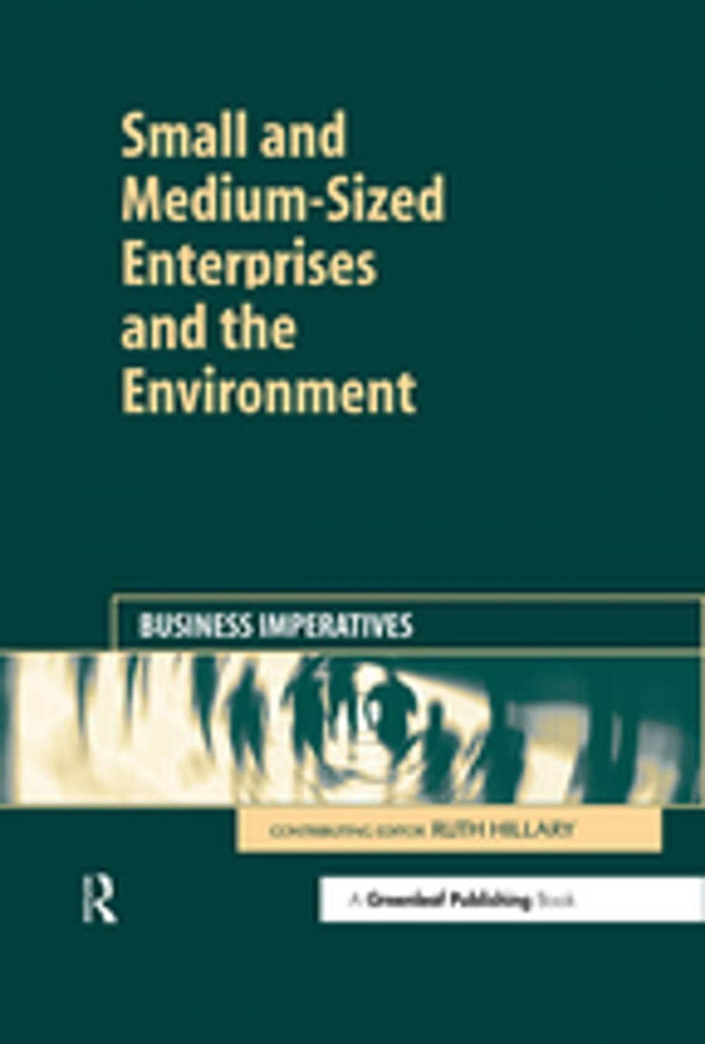 Big bigCover of Small and Medium-Sized Enterprises and the Environment