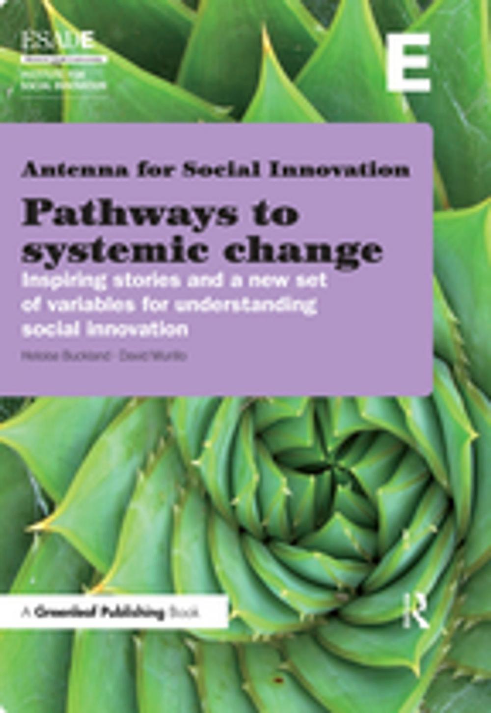 Big bigCover of Pathways to Systemic Change