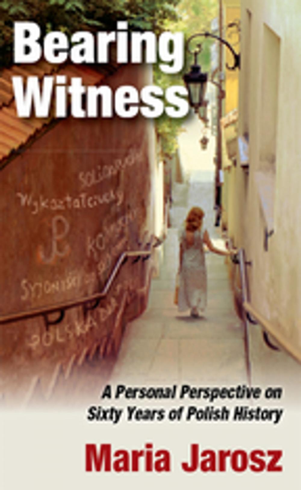 Big bigCover of Bearing Witness