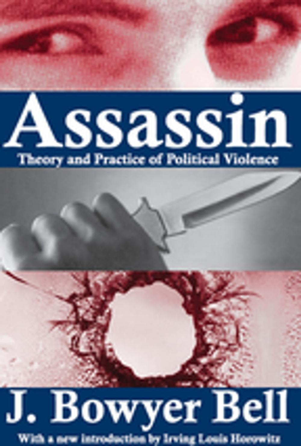 Big bigCover of Assassin