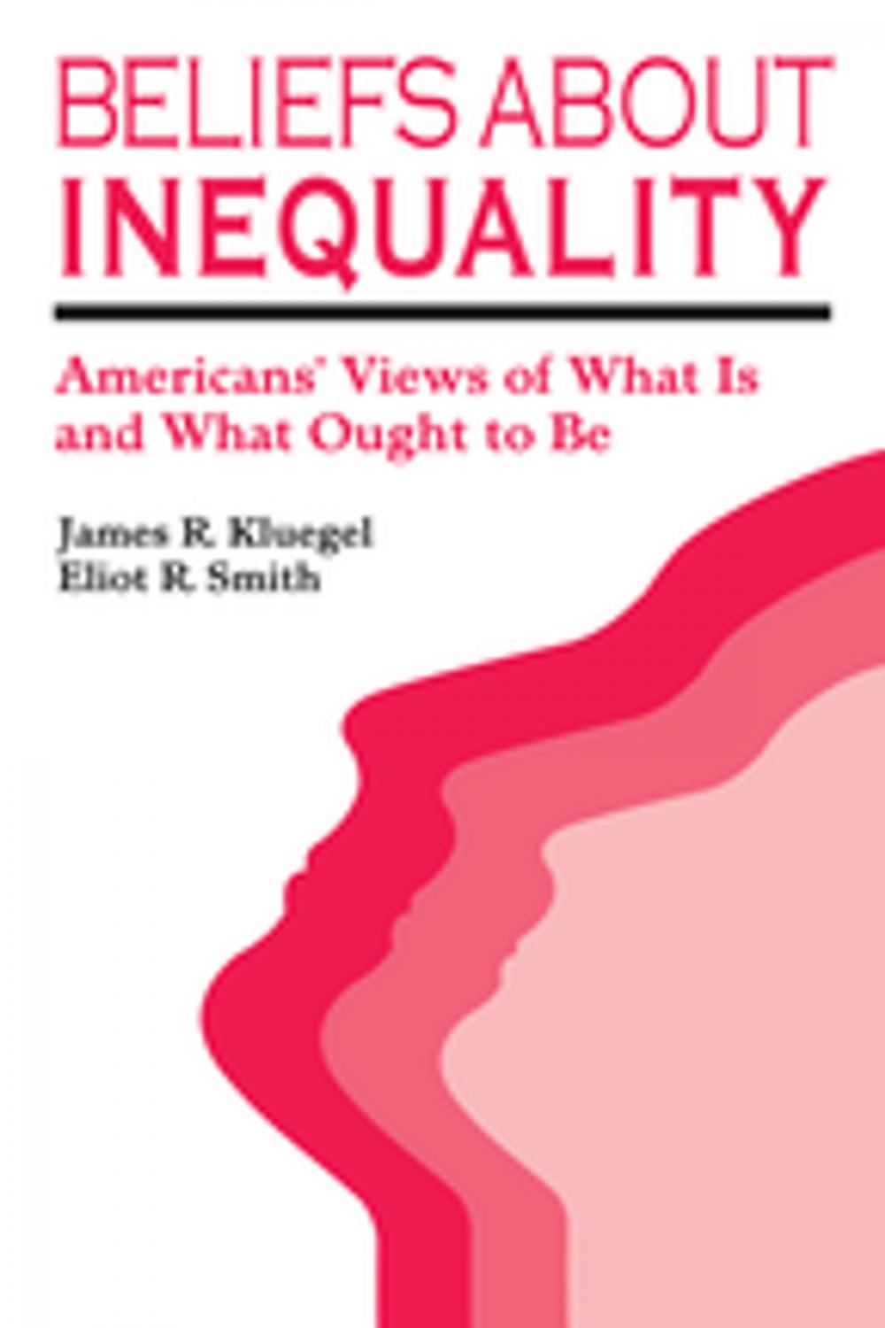 Big bigCover of Beliefs about Inequality