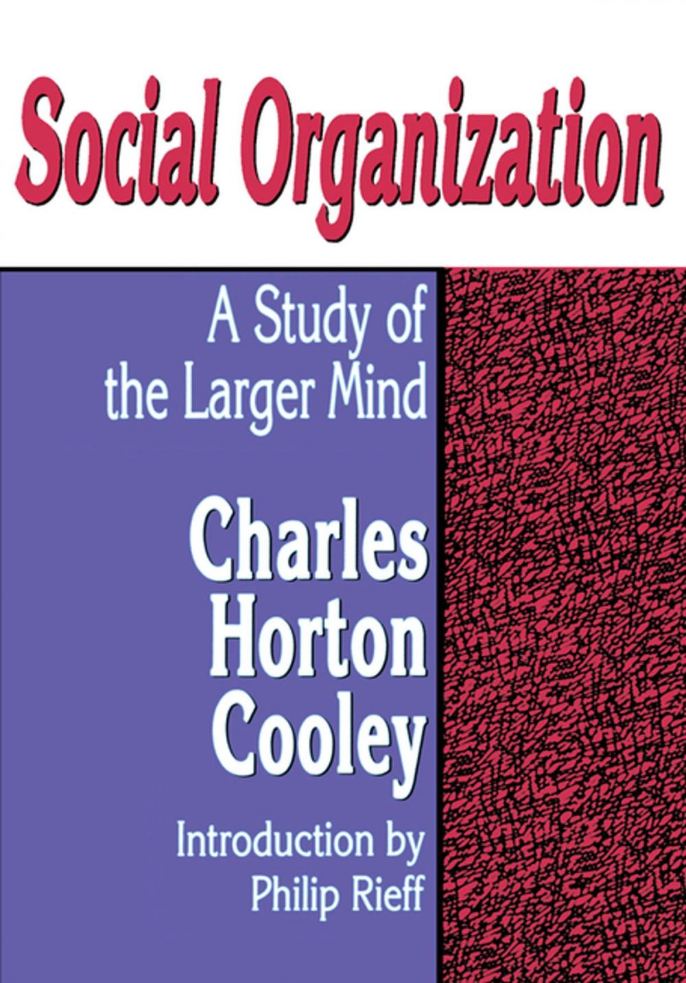 Big bigCover of Social Organization