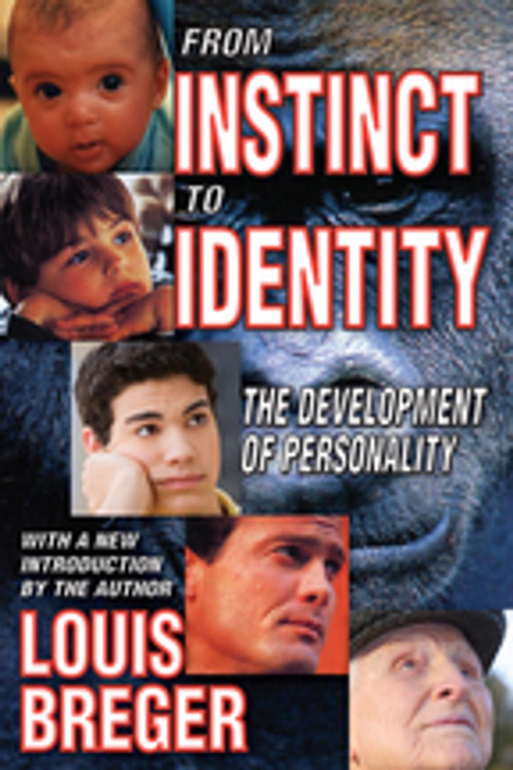 Big bigCover of From Instinct to Identity