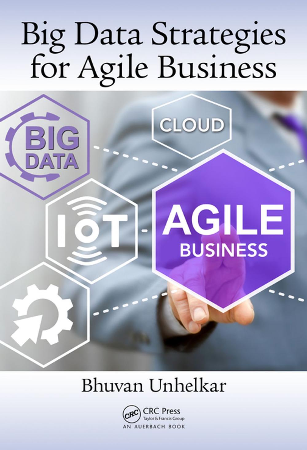 Big bigCover of Big Data Strategies for Agile Business