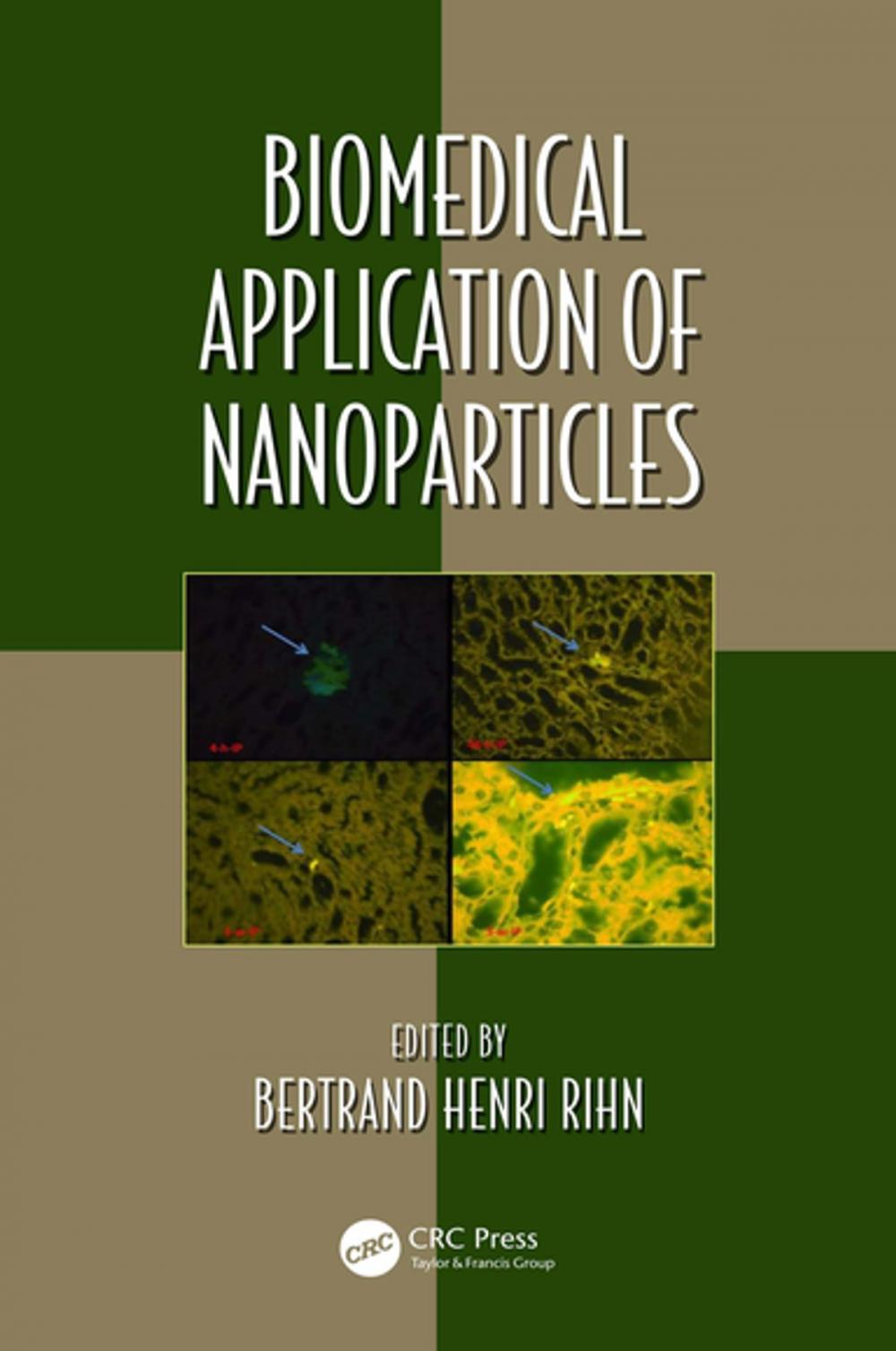 Big bigCover of Biomedical Application of Nanoparticles