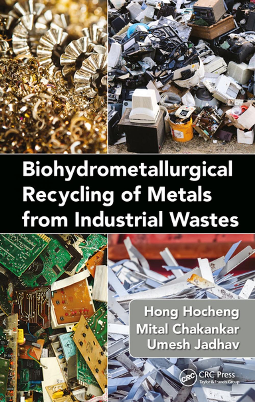 Big bigCover of Biohydrometallurgical Recycling of Metals from Industrial Wastes