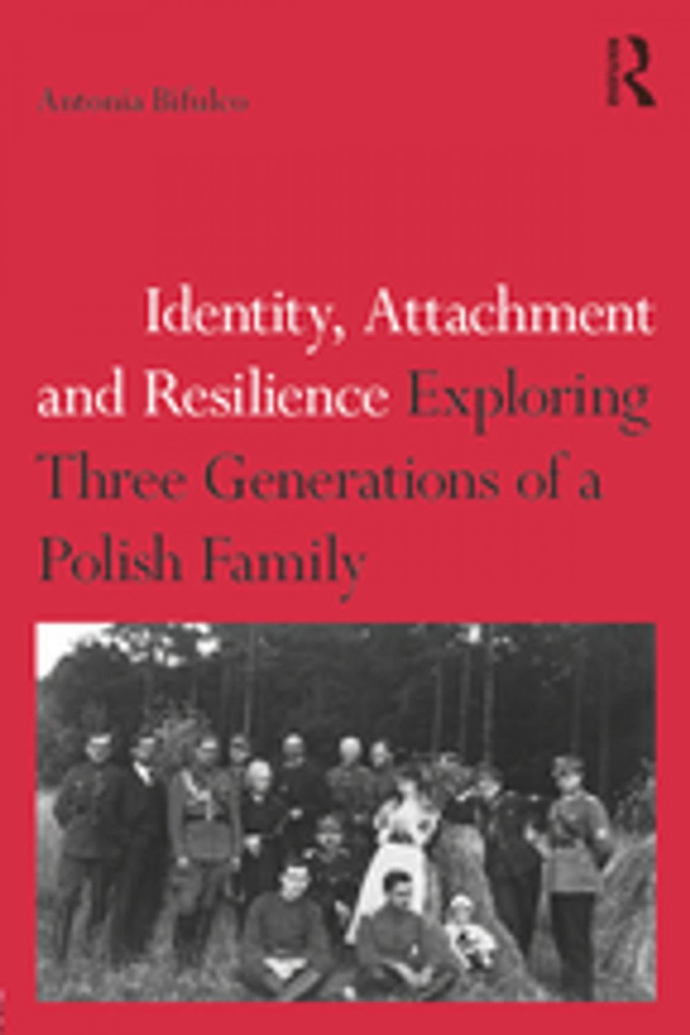 Big bigCover of Identity, Attachment and Resilience