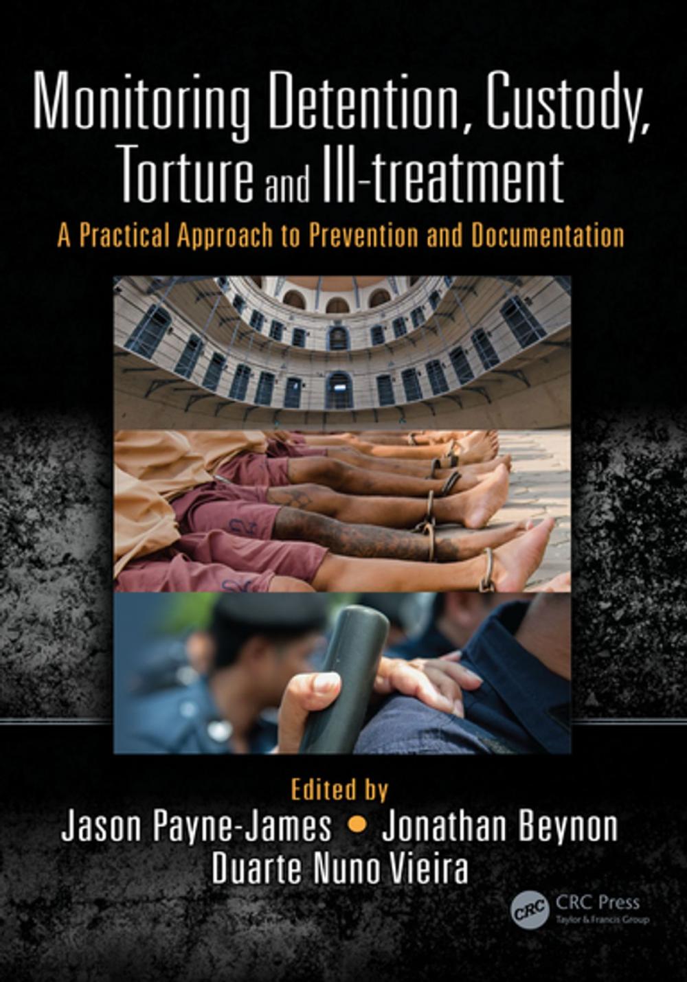 Big bigCover of Monitoring Detention, Custody, Torture and Ill-treatment