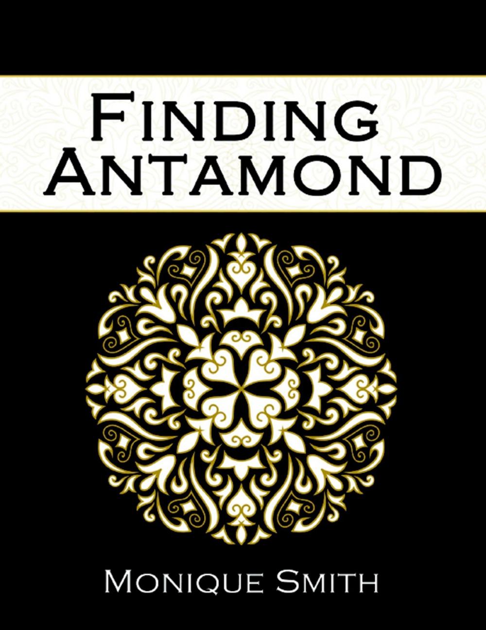 Big bigCover of Finding Antamond