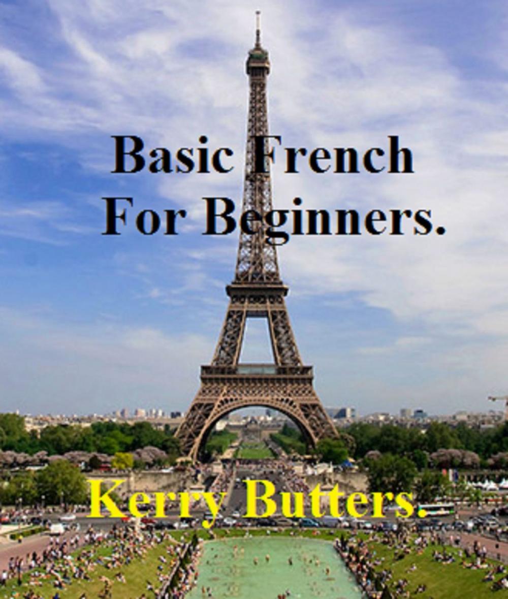 Big bigCover of Basic French For Beginners.