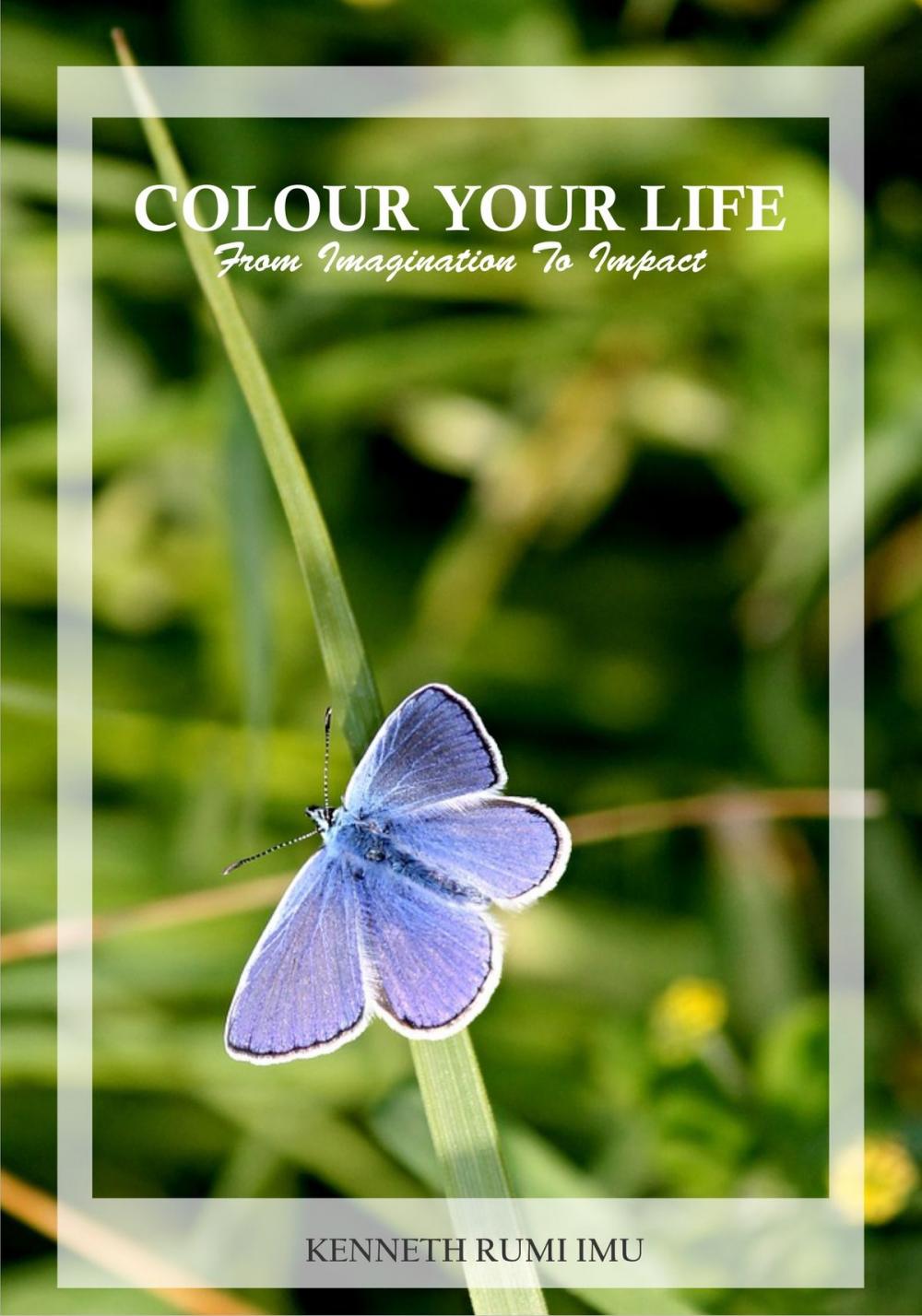 Big bigCover of Colour Your Life: From Imagination To Impact