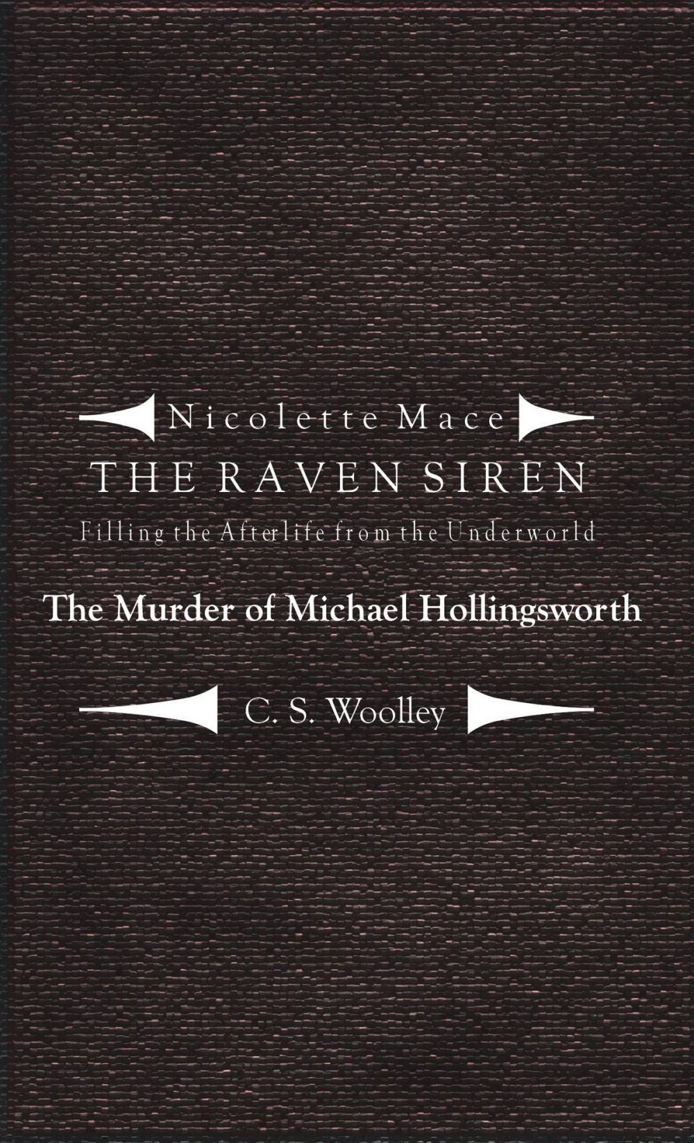 Big bigCover of Nicolette Mace: The Raven Siren - Filling the Afterlife from the Underworld: The Murder of Michael Hollingsworth