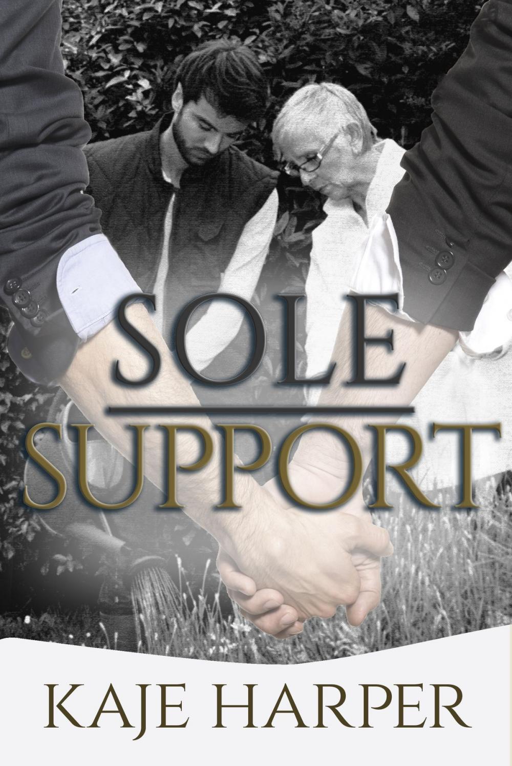 Big bigCover of Sole Support