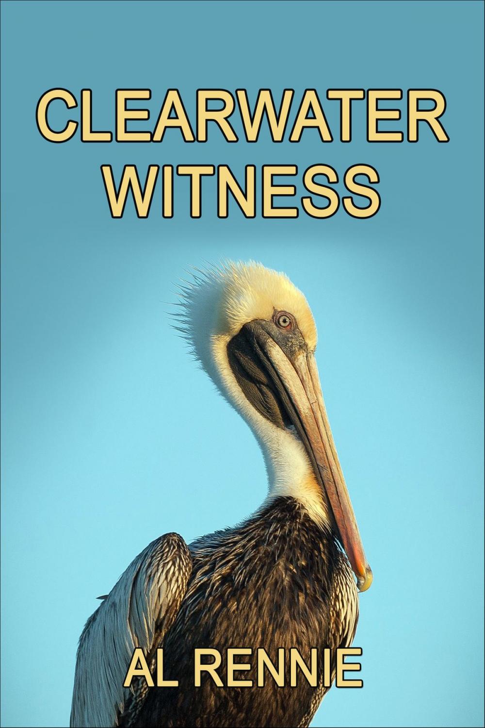 Big bigCover of Clearwater Witness