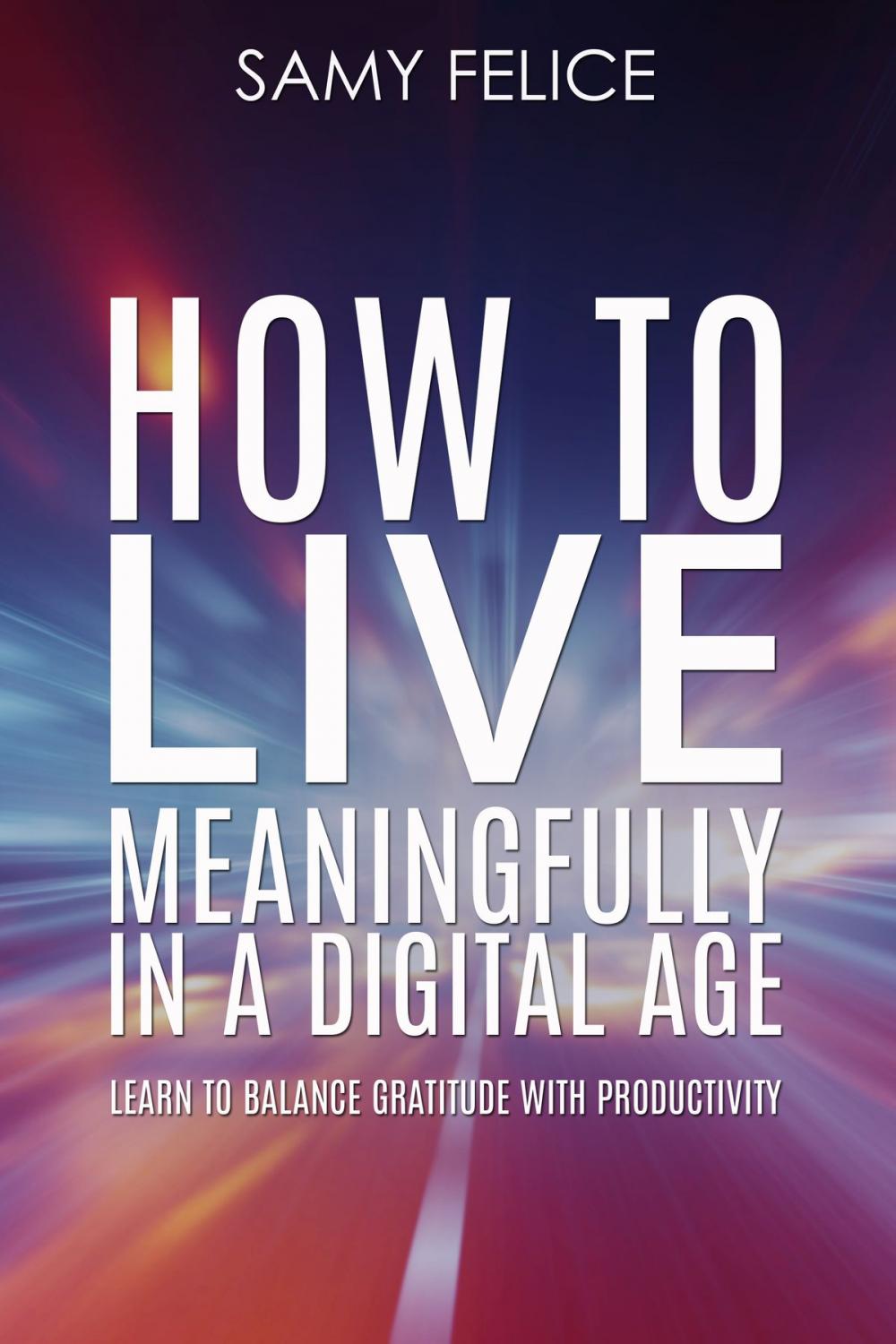 Big bigCover of How to Live Meaningfully in a Digital Age