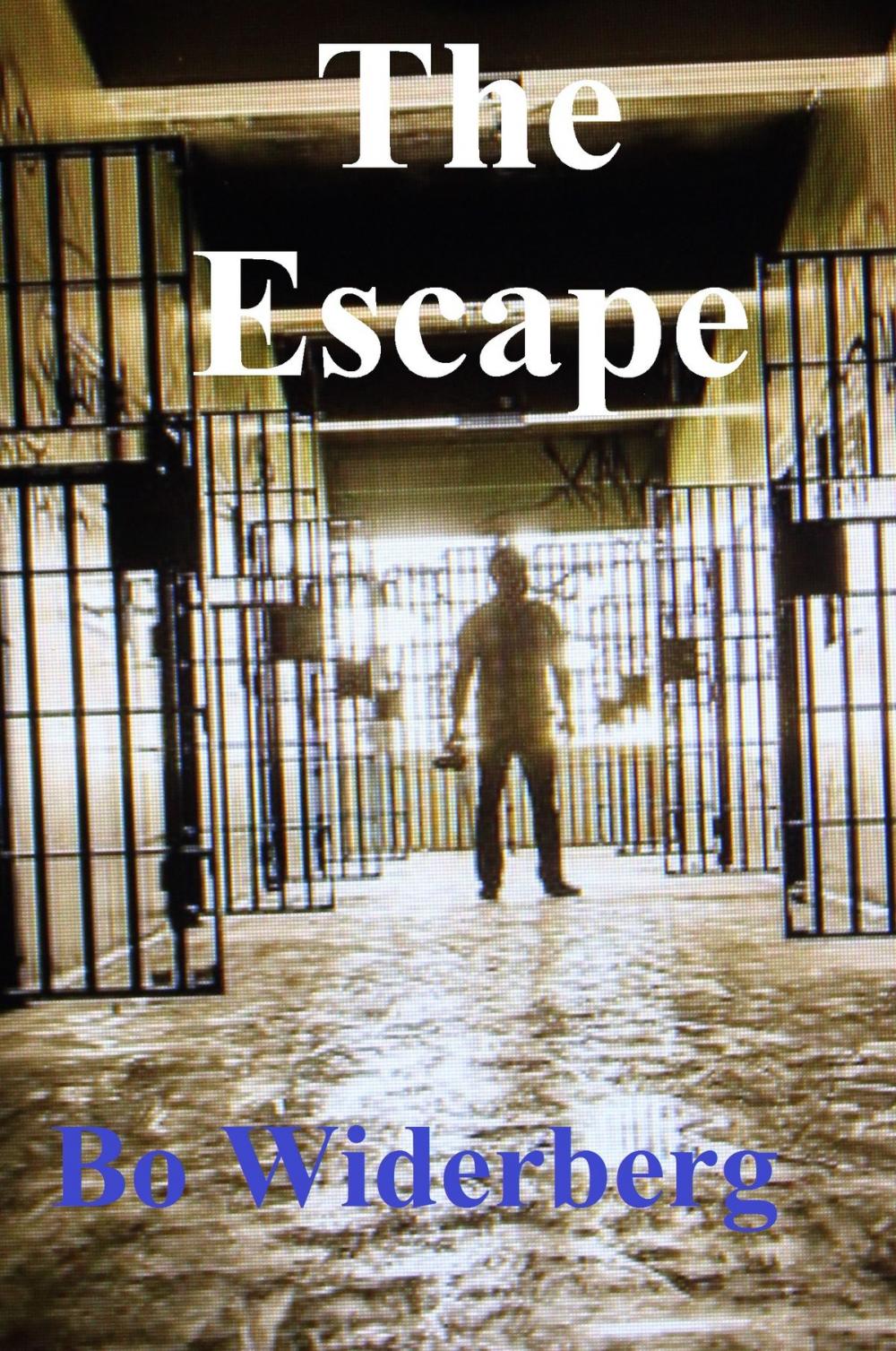 Big bigCover of The Escape