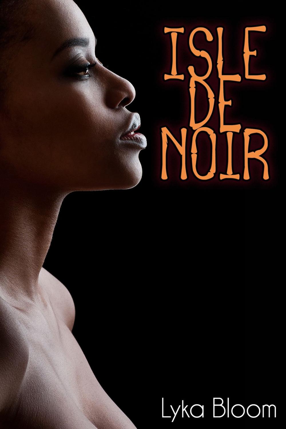 Big bigCover of Isle de Noir