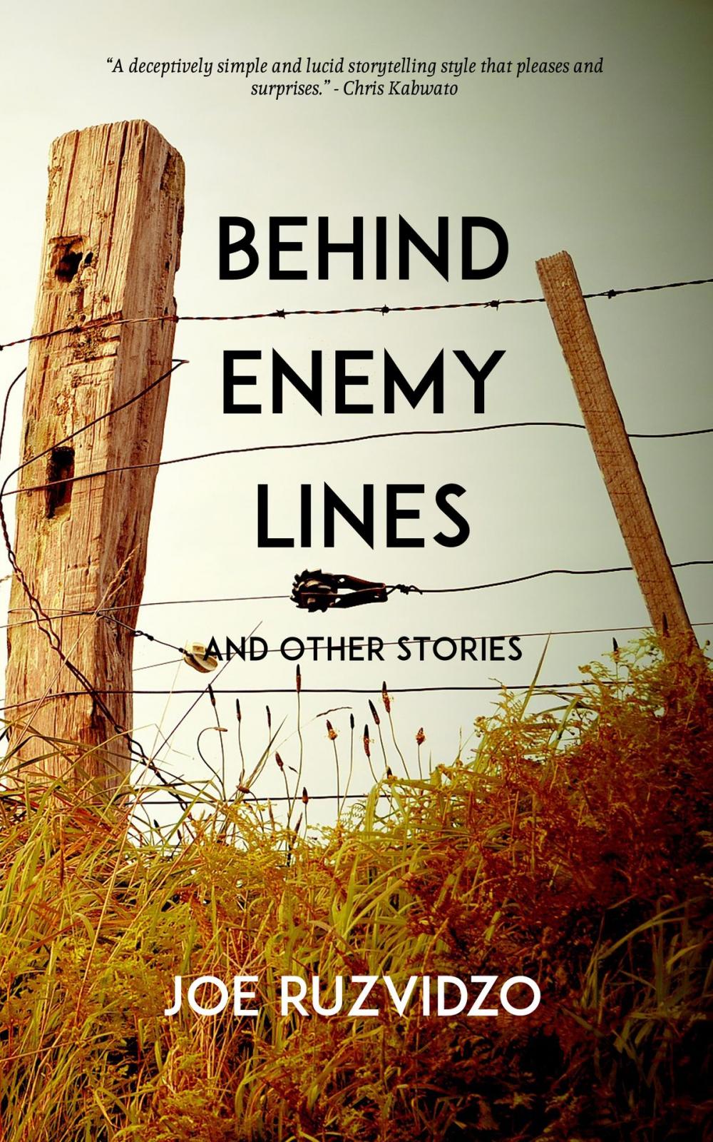 Big bigCover of Behind Enemy Lines and Other Stories
