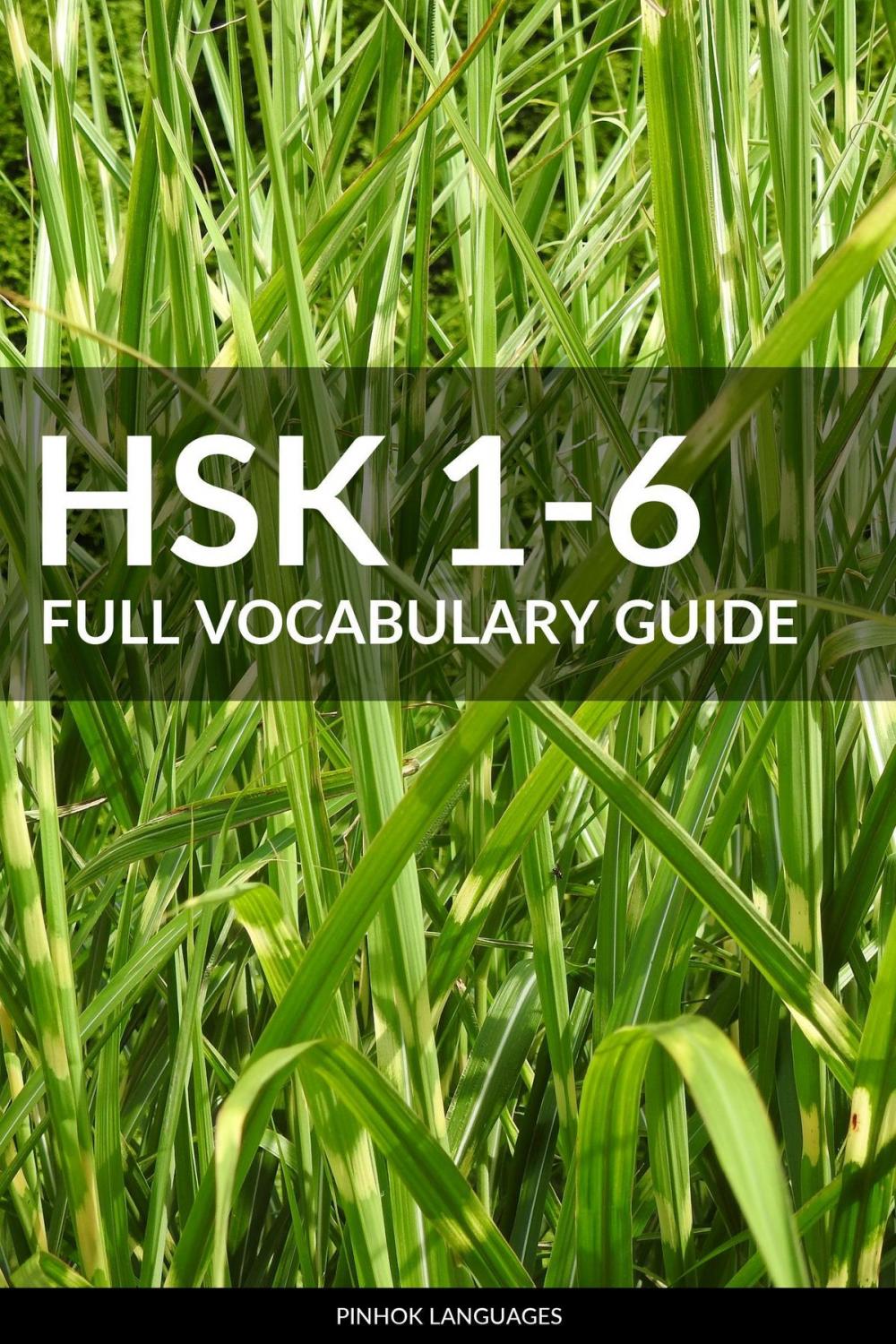 Big bigCover of HSK 1-6 Full Vocabulary Guide: All 5000 HSK Vocabularies with Pinyin and Translation