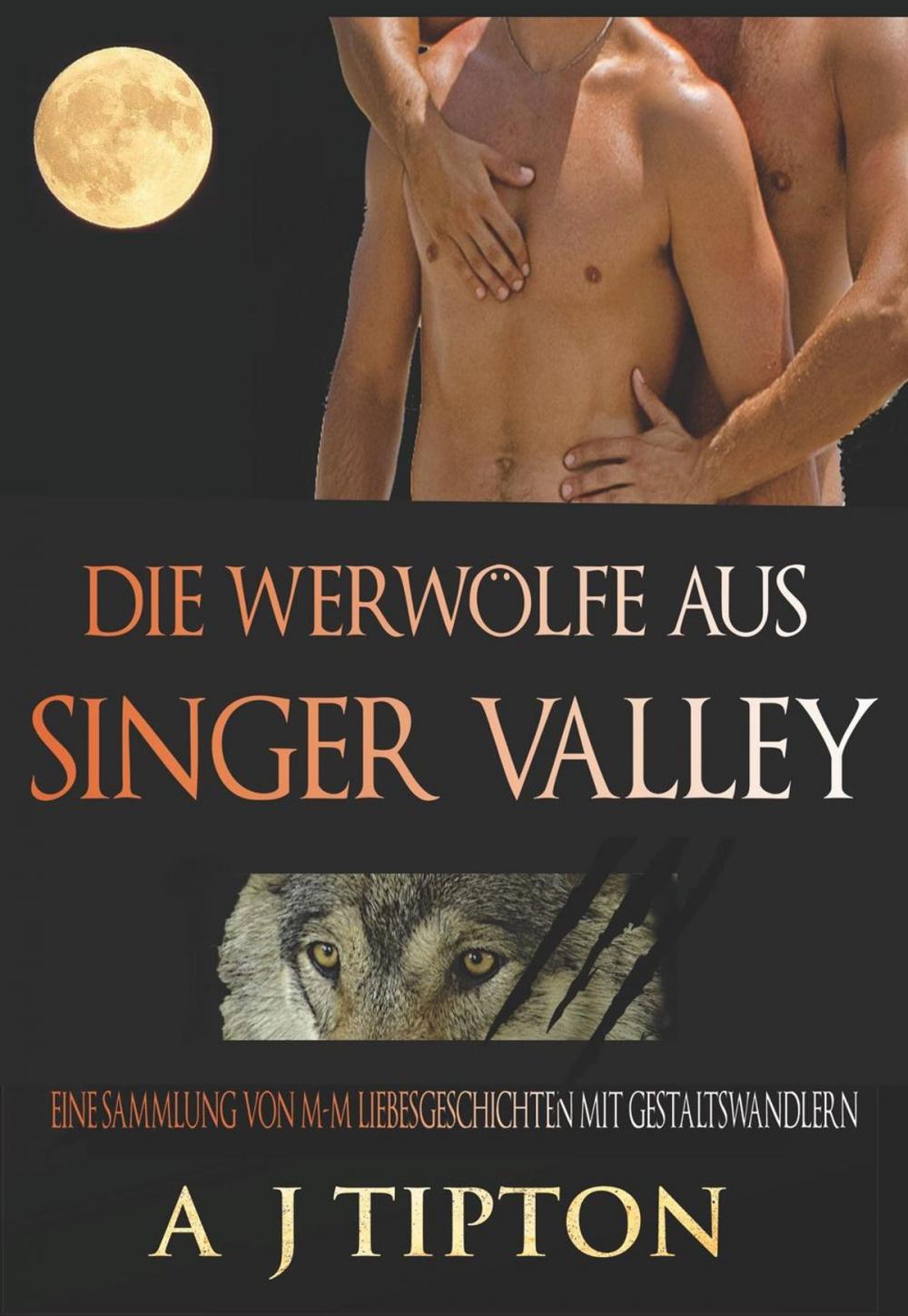 Big bigCover of Die Werwölfe aus Singer Valley: Eine Sammlung von M-M Liebesgeschichten mit Gestaltswandlern