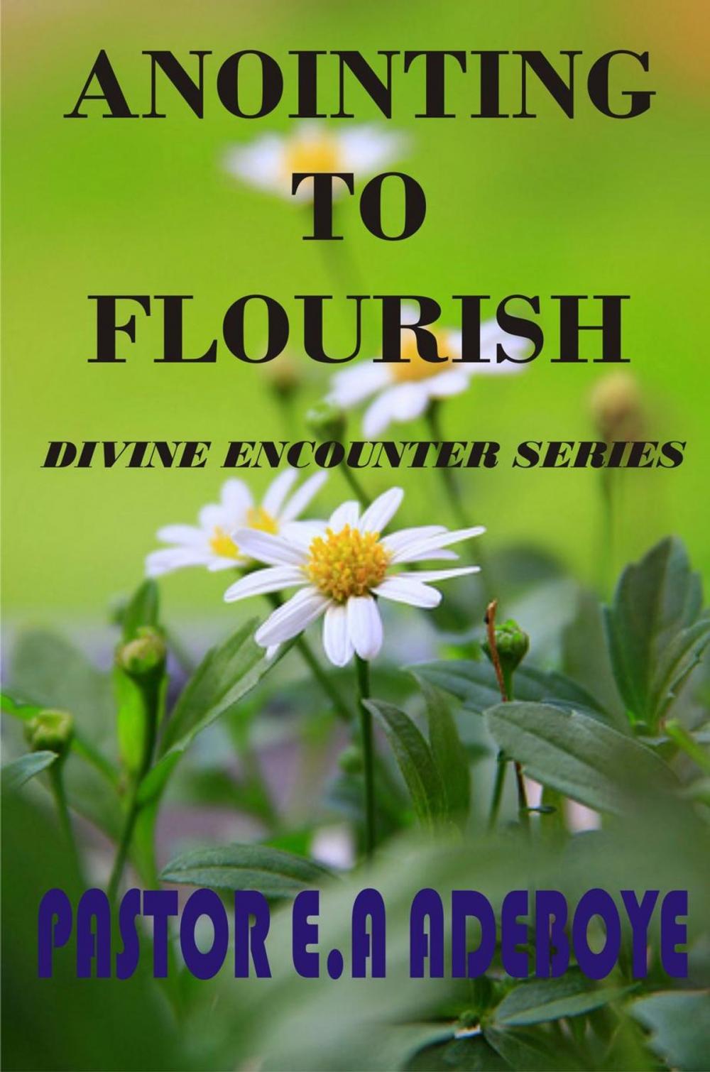 Big bigCover of Anointing To Flourish