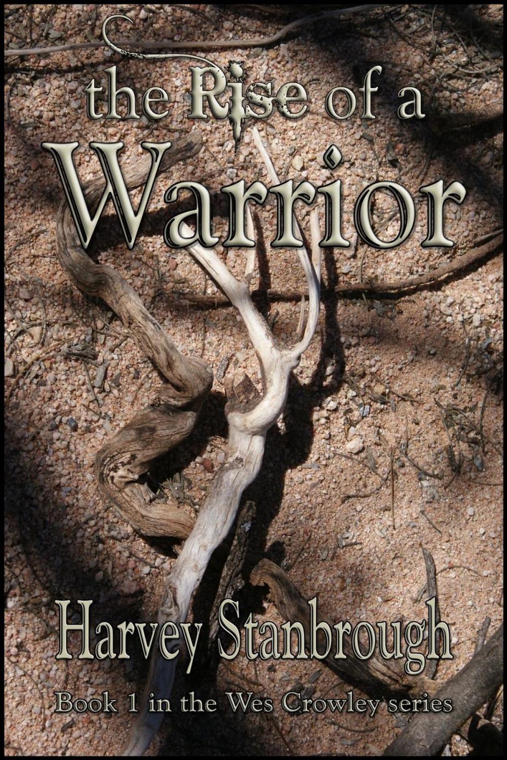 Big bigCover of The Rise of a Warrior