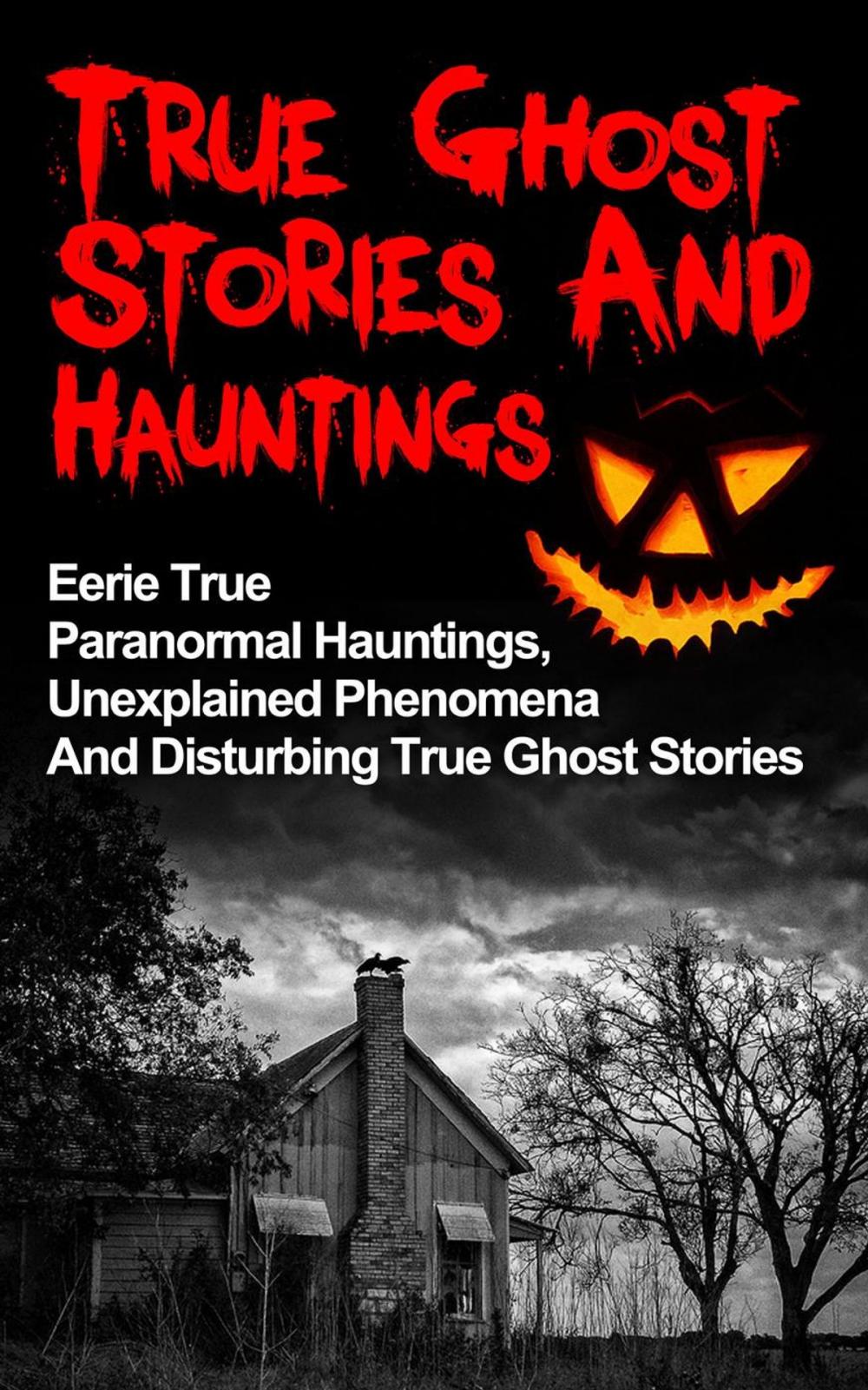 Big bigCover of True Ghost Stories And Hauntings: Eerie True Paranormal Hauntings, Unexplained Phenomena And Disturbing True Ghost Stories