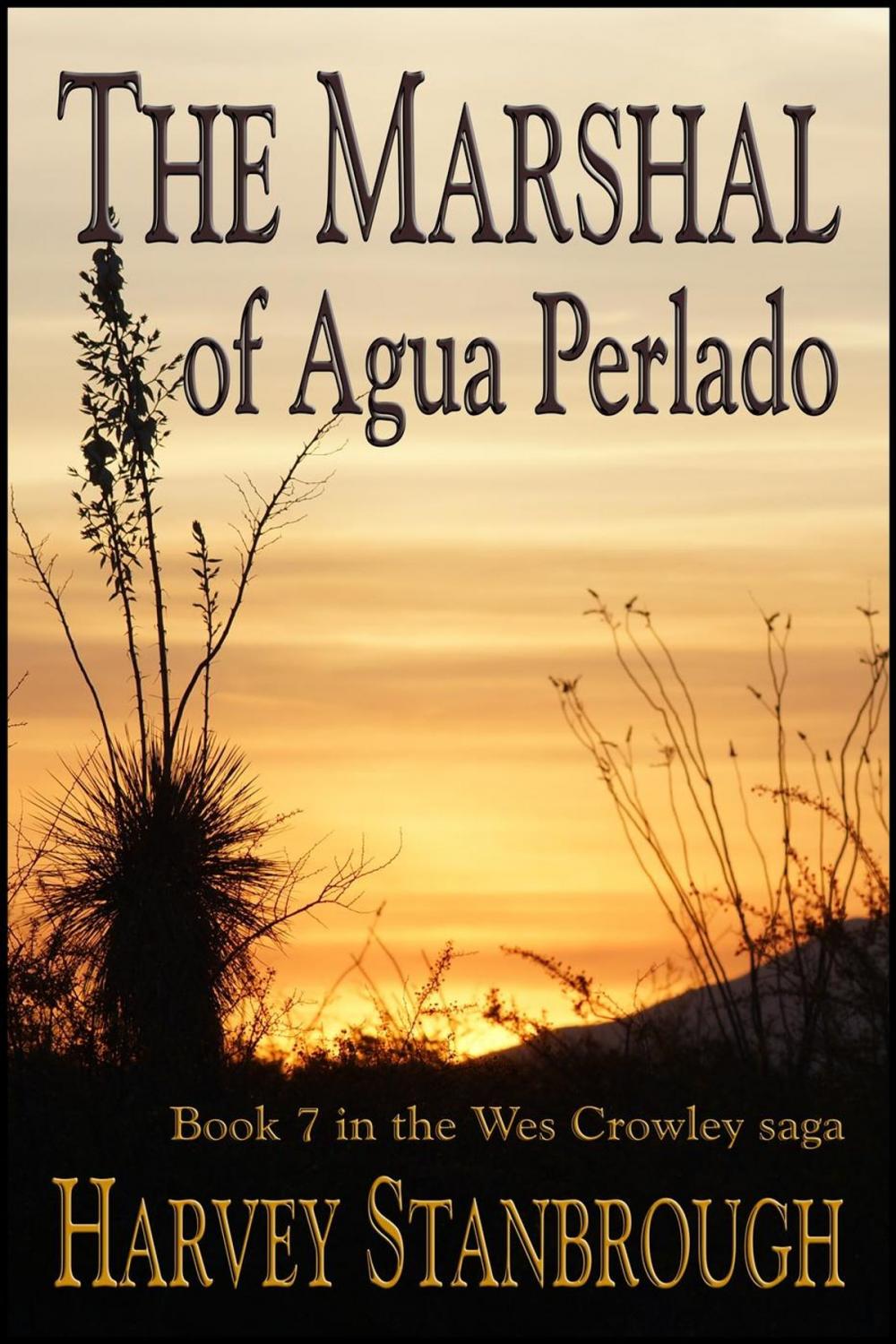 Big bigCover of The Marshal of Agua Perlado