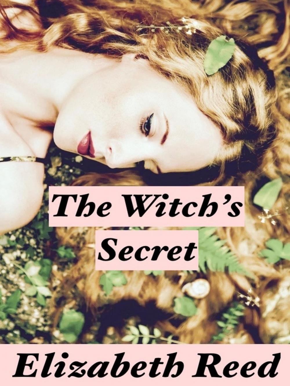 Big bigCover of The Witch’s Secret