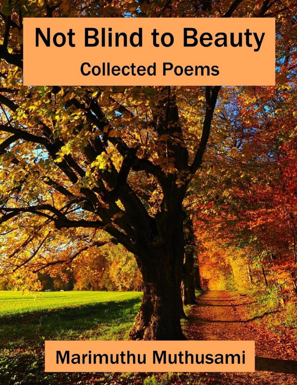 Big bigCover of Not Blind to Beauty: Collected Poems