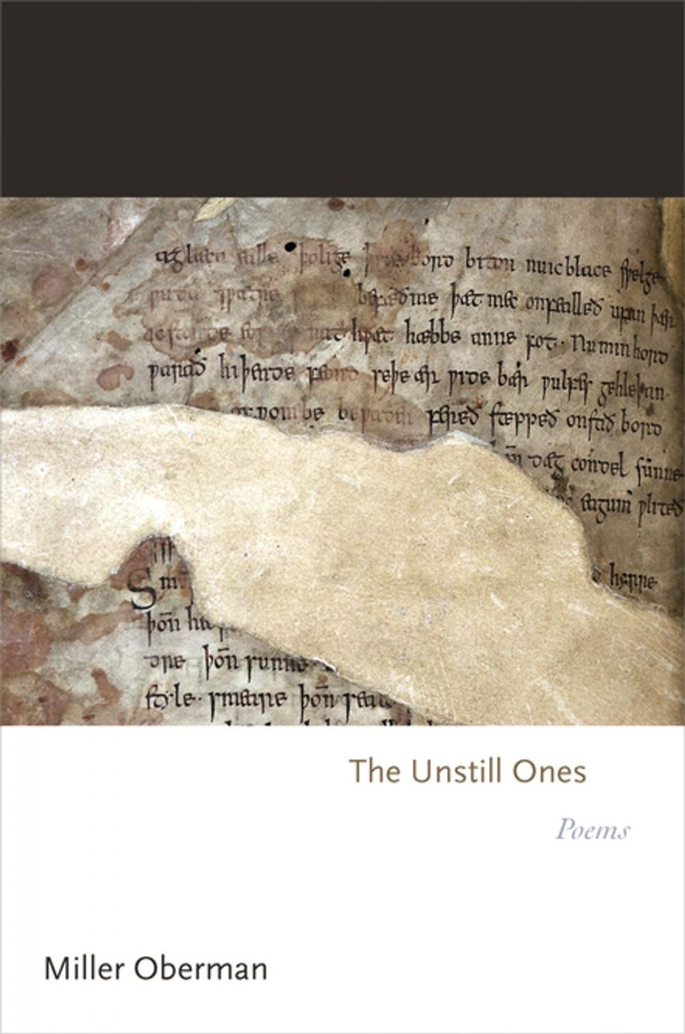 Big bigCover of The Unstill Ones