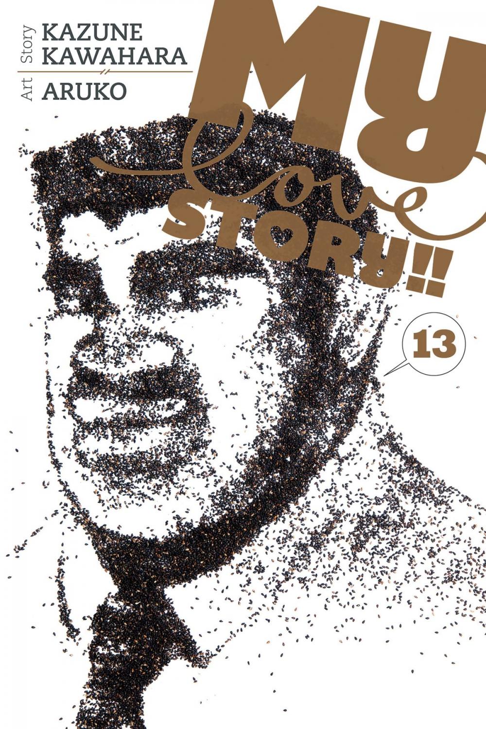 Big bigCover of My Love Story!!, Vol. 13