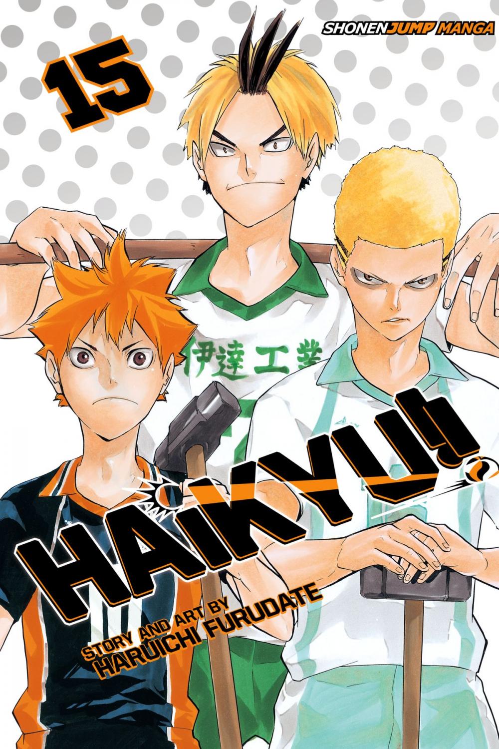 Big bigCover of Haikyu!!, Vol. 15