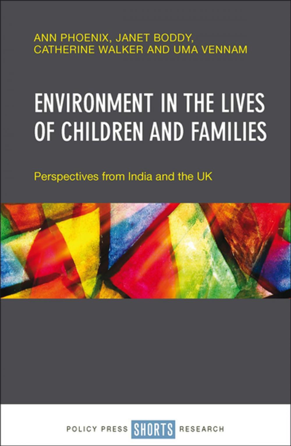 Big bigCover of Environment in the lives of children and families