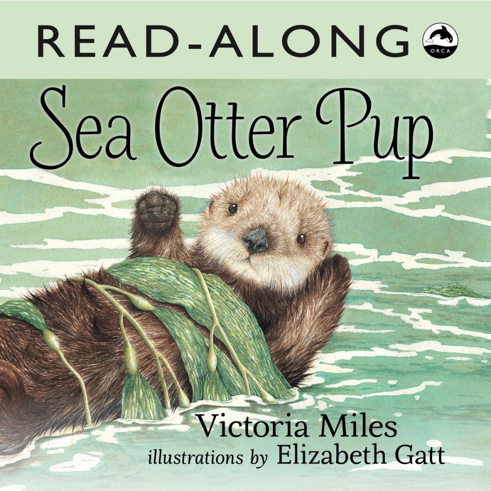 Big bigCover of Sea Otter Pup Read-Along