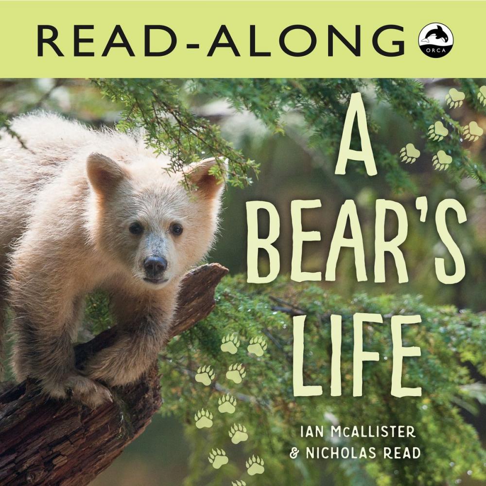 Big bigCover of A Bear's Life Read-Along