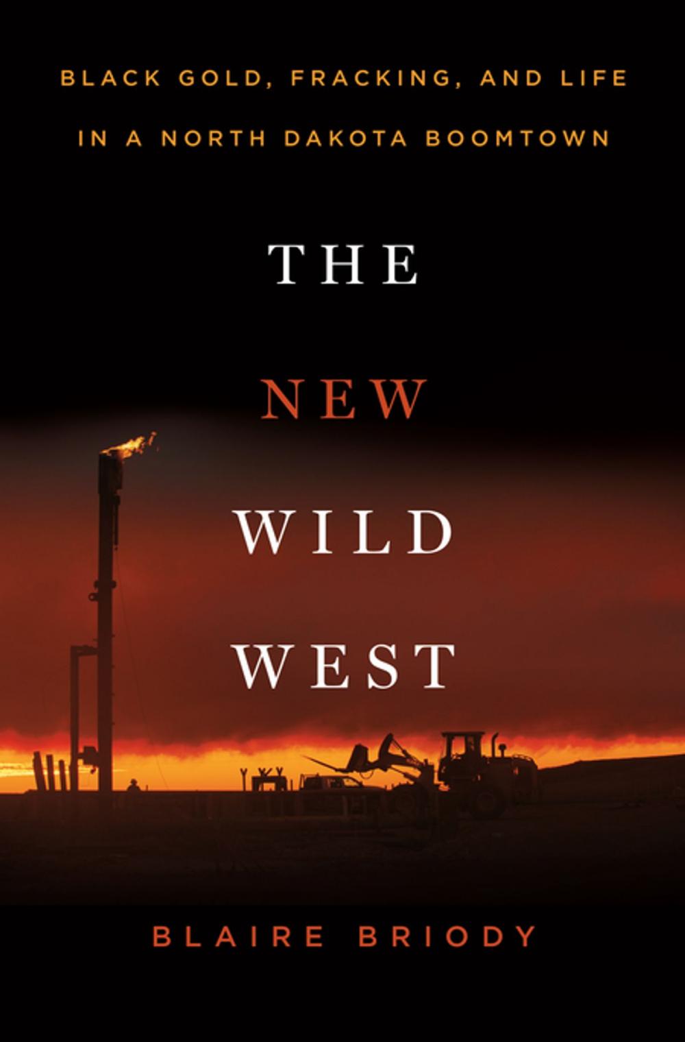 Big bigCover of The New Wild West