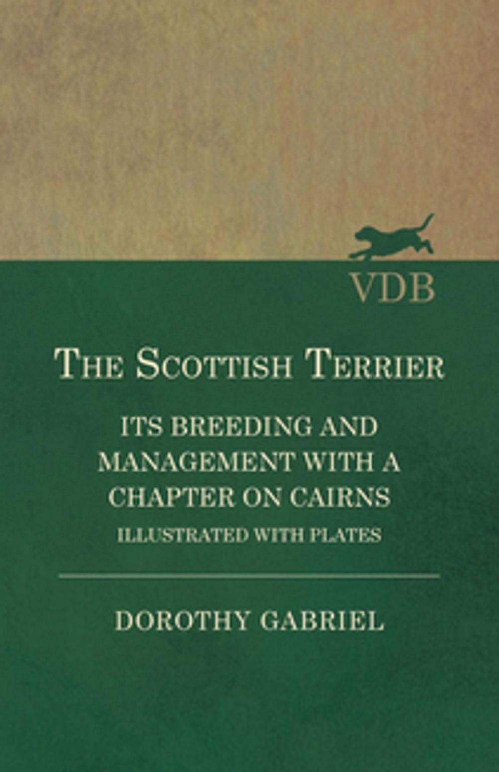 Big bigCover of The Scottish Terrier - It's Breeding and Management With a Chapter on Cairns - Illustrated with plates