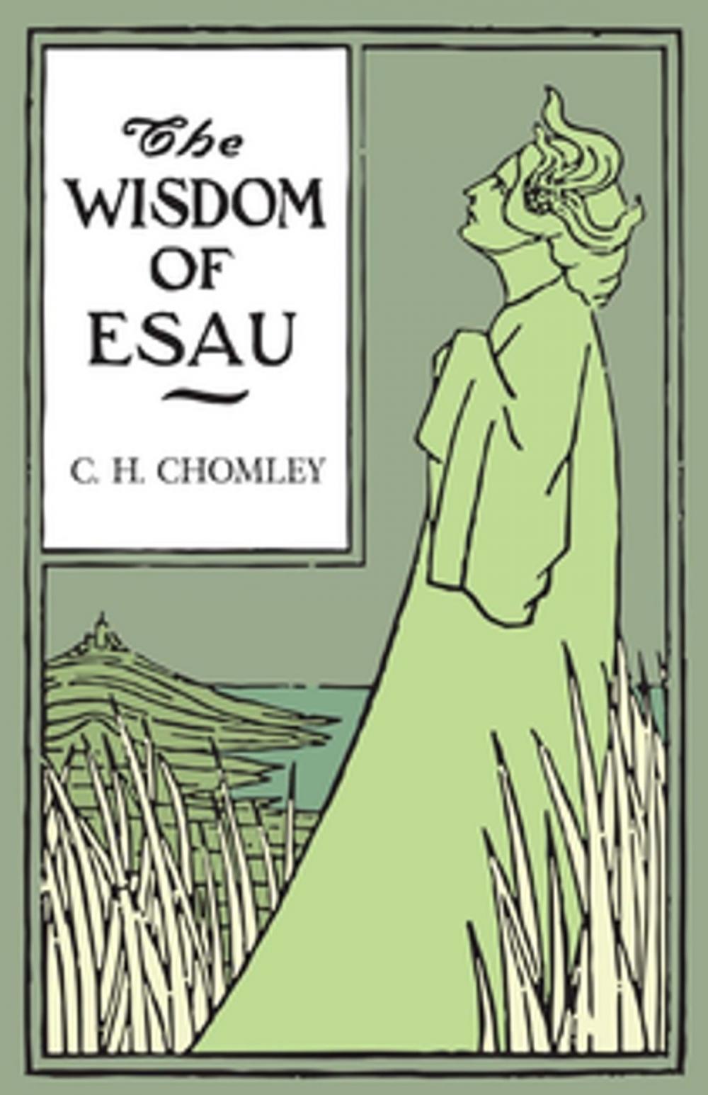 Big bigCover of The Wisdom of Esau