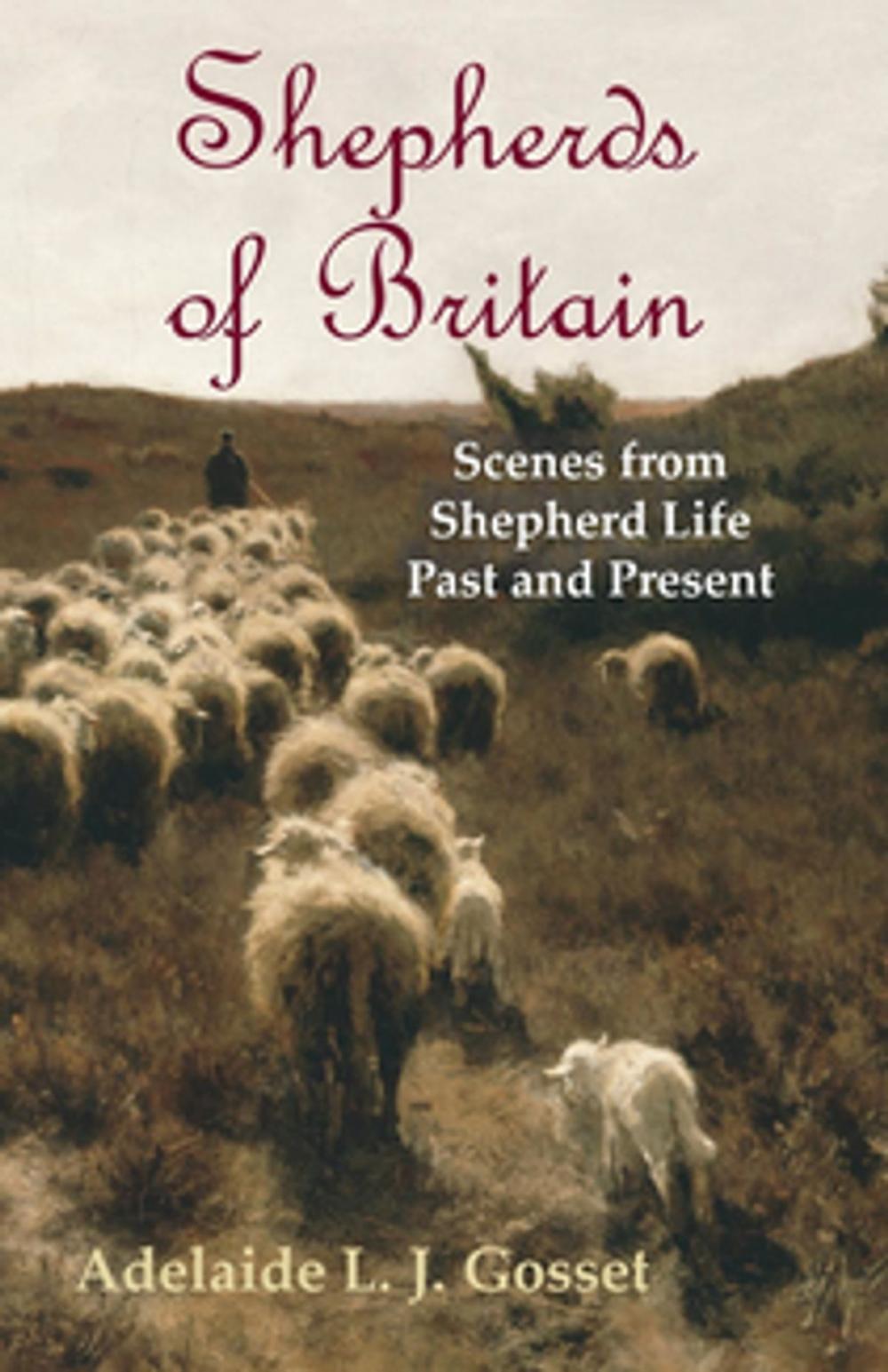 Big bigCover of Shepherds of Britain - Scenes from Shepherd Life Past and Present