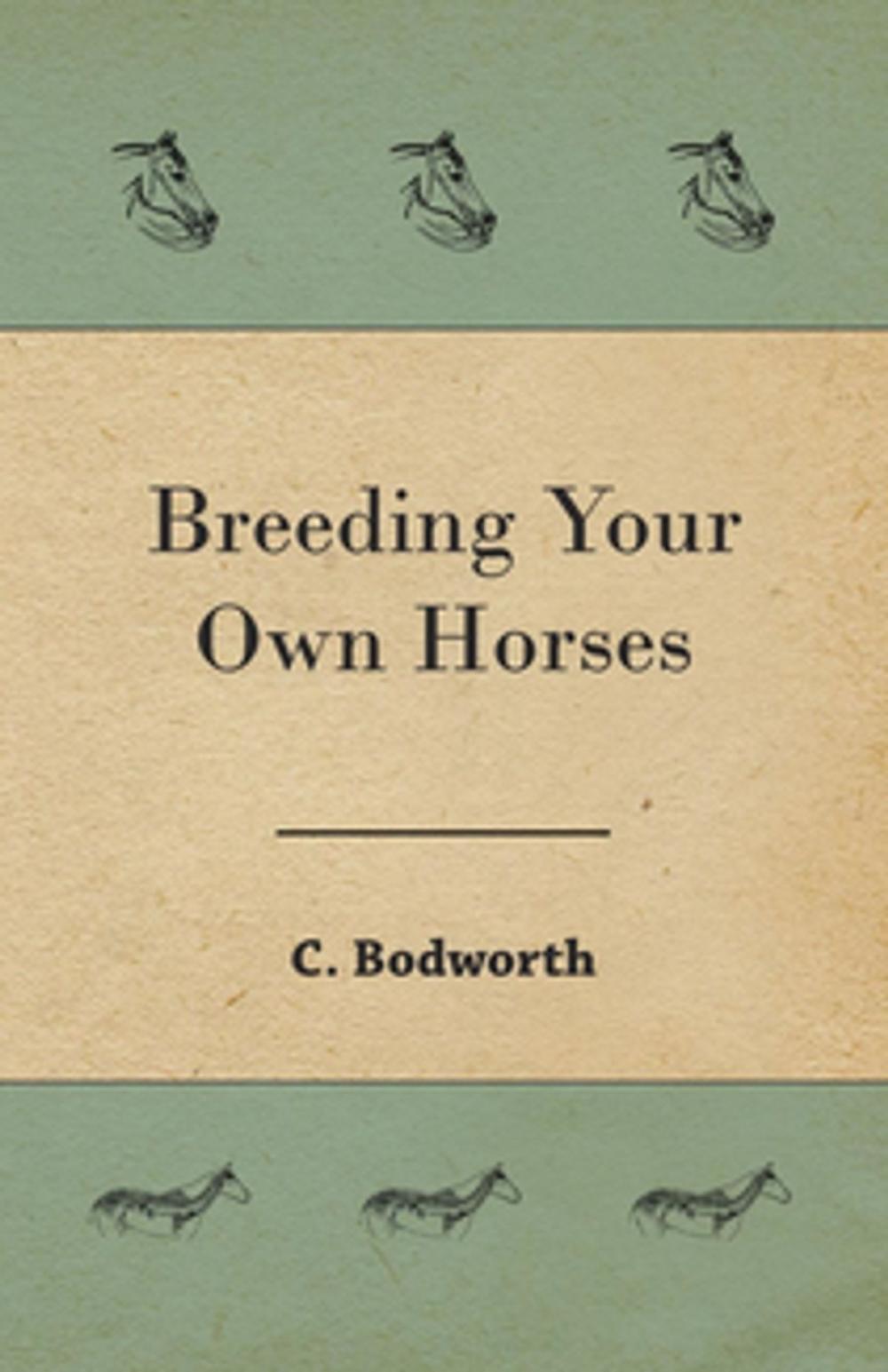 Big bigCover of Breeding Your Own Horses