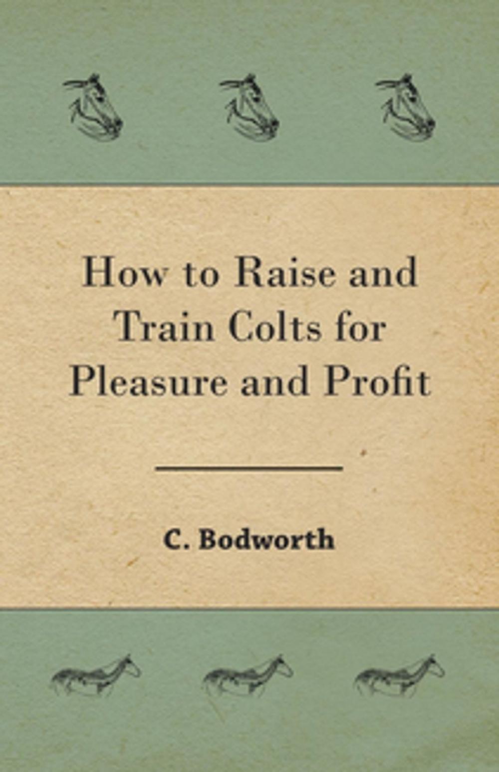 Big bigCover of How to Raise and Train Colts for Pleasure and Profit