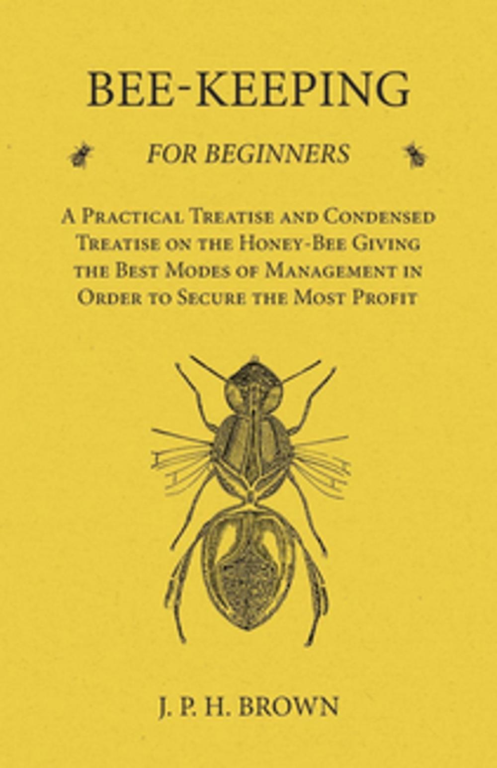 Big bigCover of Bee-Keeping for Beginners - A Practical Treatise and Condensed Treatise on the Honey-Bee Giving the Best Modes of Management in Order to Secure the Most Profit