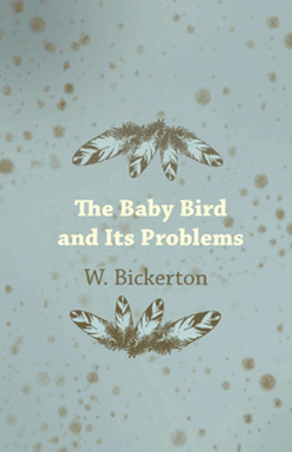 Big bigCover of The Baby Bird and Its Problems