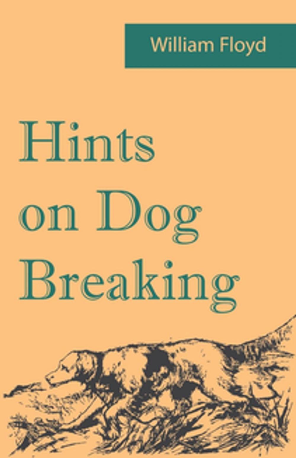 Big bigCover of Hints on Dog Breaking